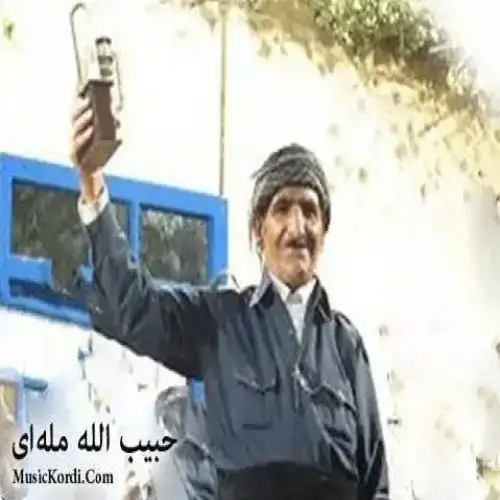 نیم لیره